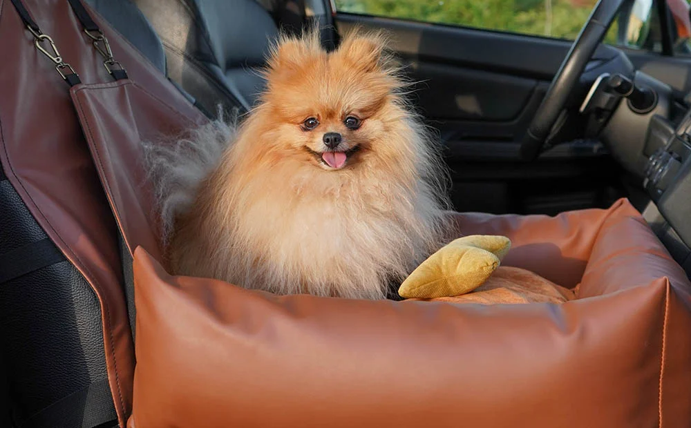Boston Terriers Dog Car Seat for Honda Civic