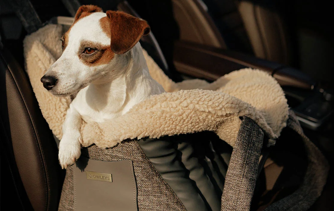 Tesla Model 3 Dog Carrier Car Seat for Bichon Frise