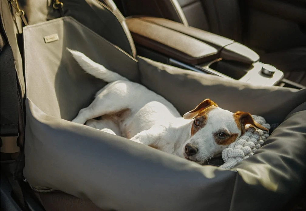 Lhasa Apsos Dog Car Seat for Ford Ranger