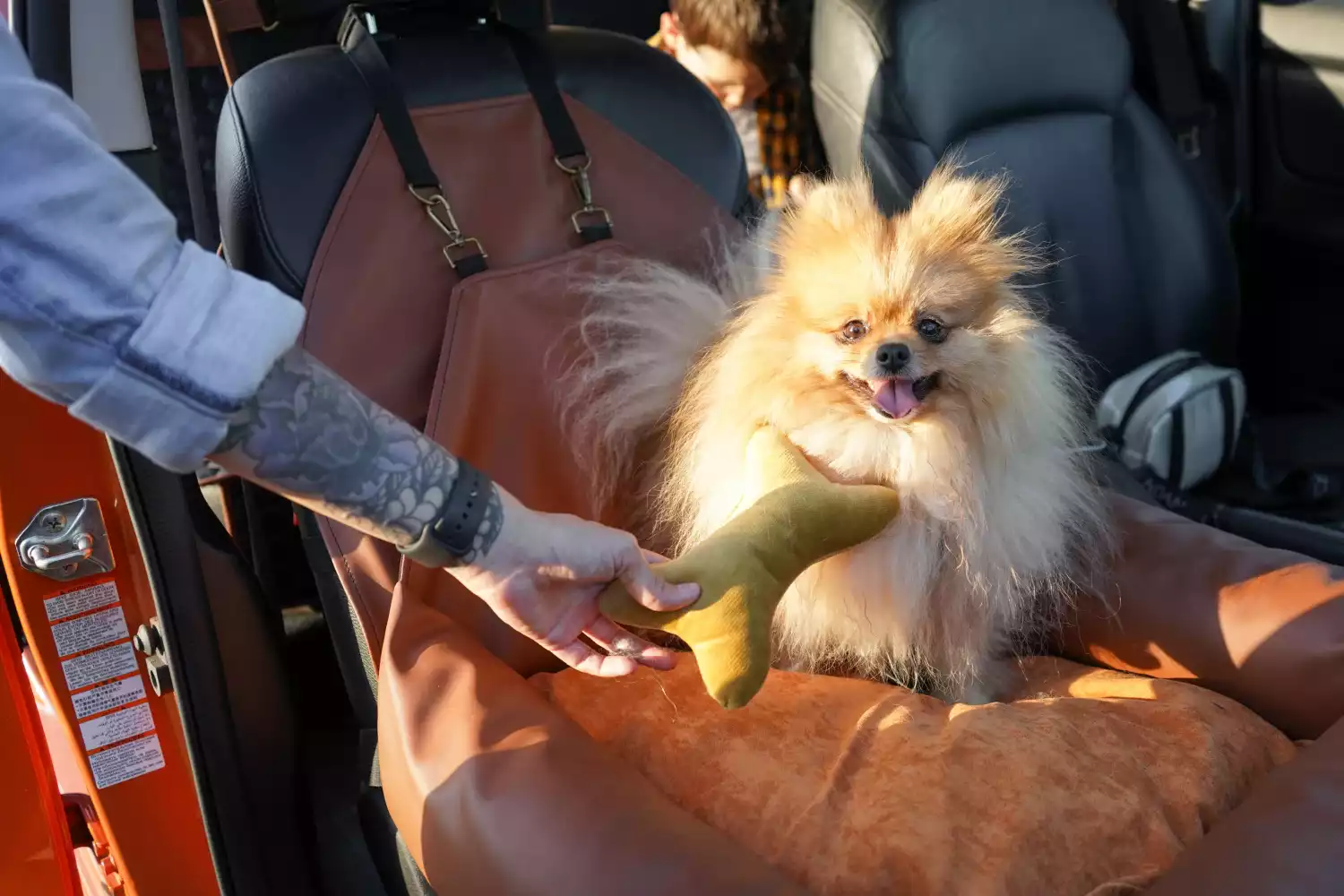 Affenpinschers Dog Car Seat for Ford EcoSport